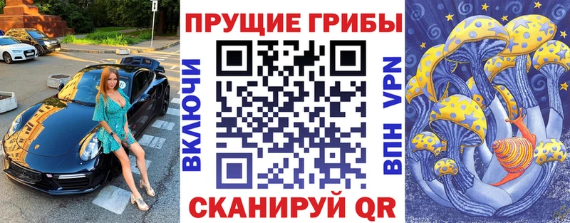 Купить где  Арск  Галлюциногенные грибы Magic Shrooms 