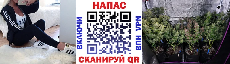 Купить Арск Бошки марихуана Ganja
